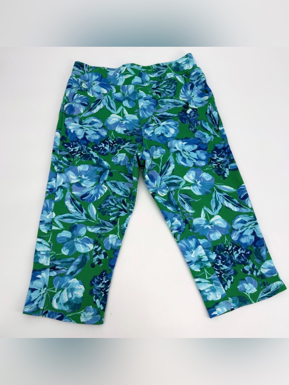 Belle by Kim Gravel Pants Womens XS Green Blue Floral Capri Pull On Crop